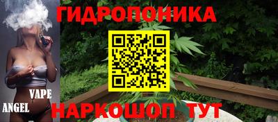 индика Рыбинск