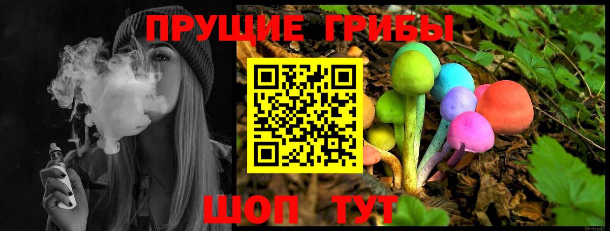 Псилоцибиновые грибы Cubensis Валуйки
